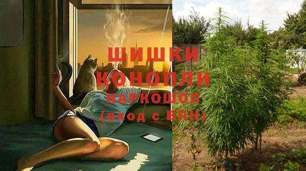 спиды Майский