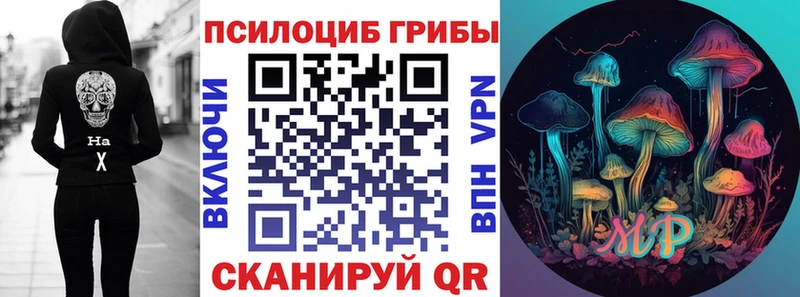 Купить где  Калачинск  Галлюциногенные грибы мицелий 