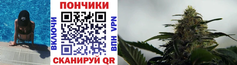 Шишки марихуана THC 21%  Купить где  Калачинск 